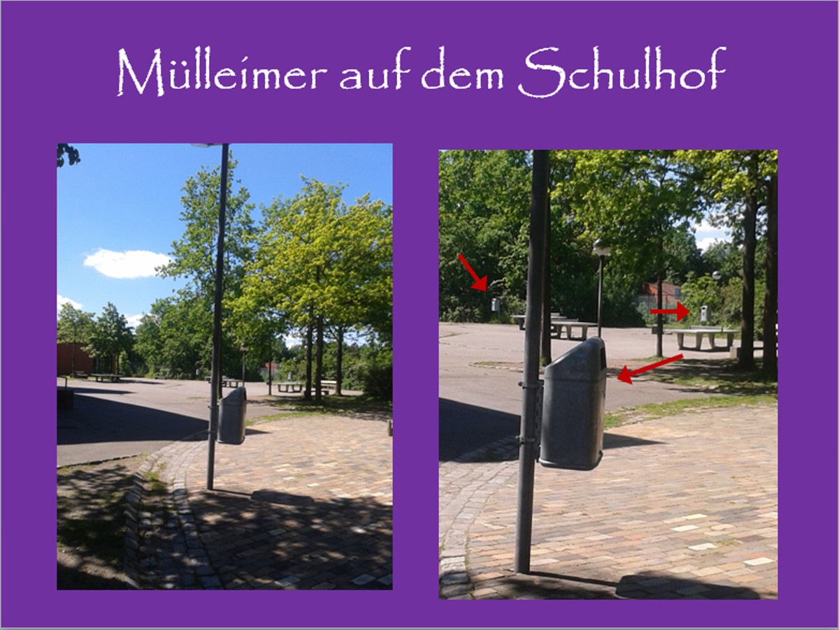 Müllsammelaktion Schule