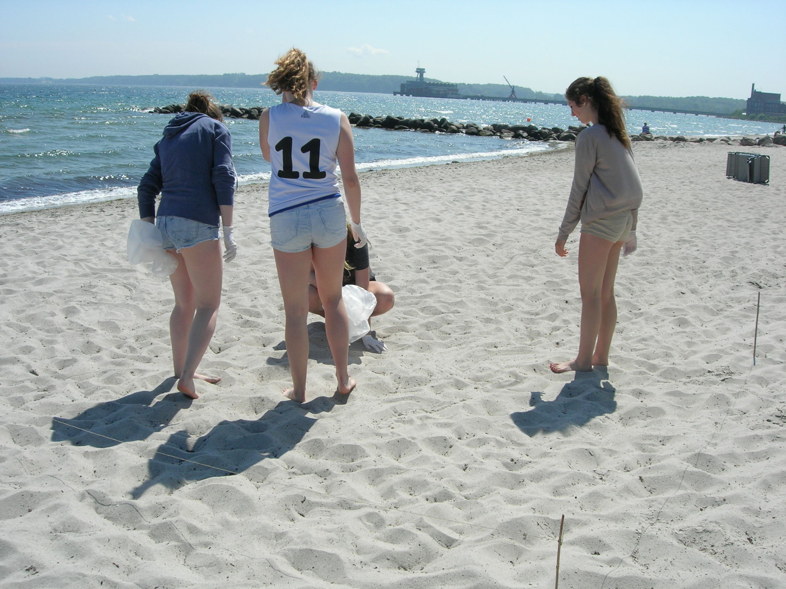 Probennahme am Eckernförder Strand 2