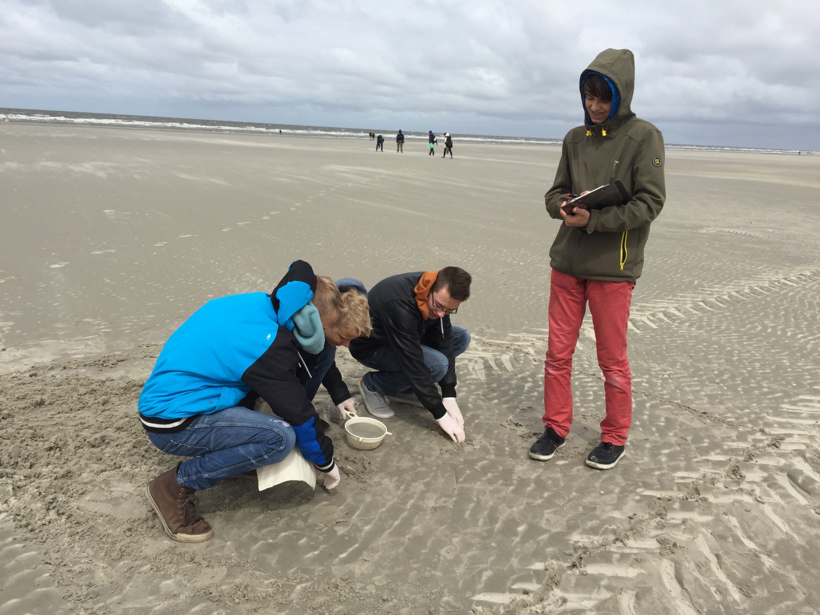 Probensammlung in St. Peter Ording von der Gemeinschaftsschule Husum Nord 1