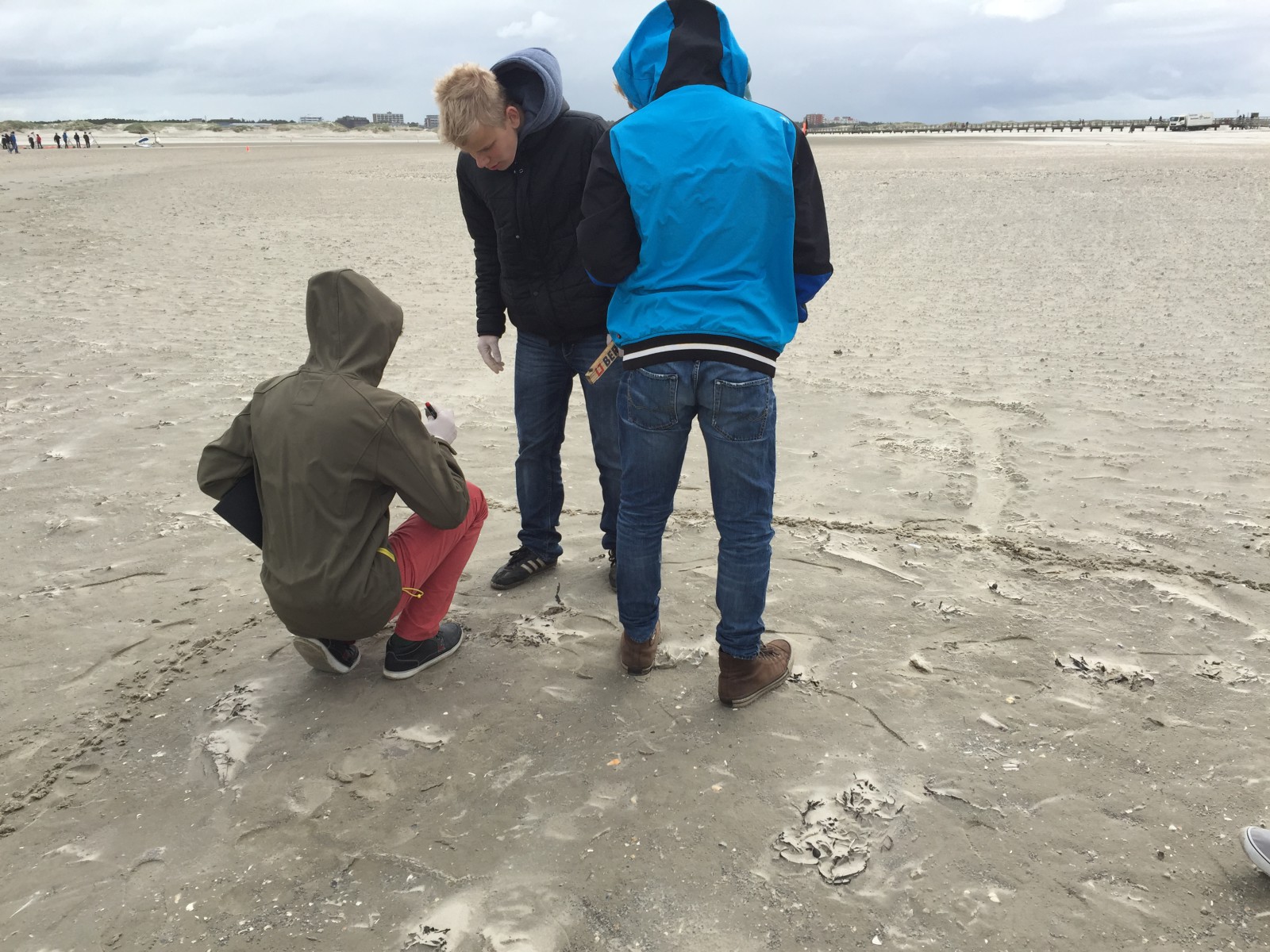 Probensammlung in St. Peter Ording von der Gemeinschaftsschule Husum Nord 2