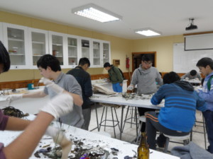 Trabajo en laboratorio para posterior análisis de resultados