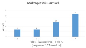 Ergebnis Probennahme Nienhagen II