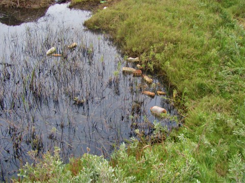 Chile: ¡Se abre convocatoria para participar en Muestreo Nacional de Basura en los Ríos 2017!